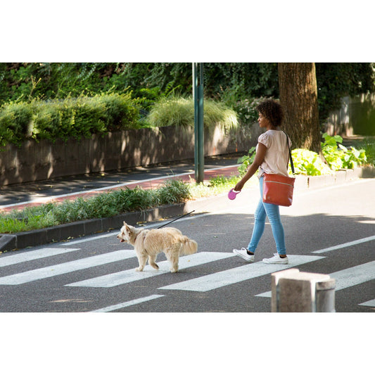 Wildcard Studio Bag (Small)